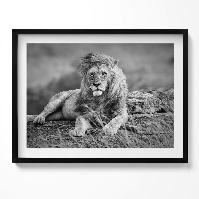 Tablou living cu rama Leul animal maiestuos