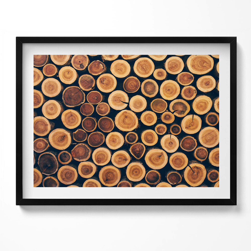 Tablou living cu rama Lemn, cioturi de copaci