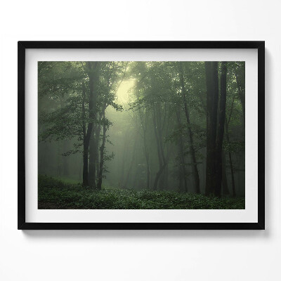 Tablou living cu rama Pădurea încețoșată dimineața