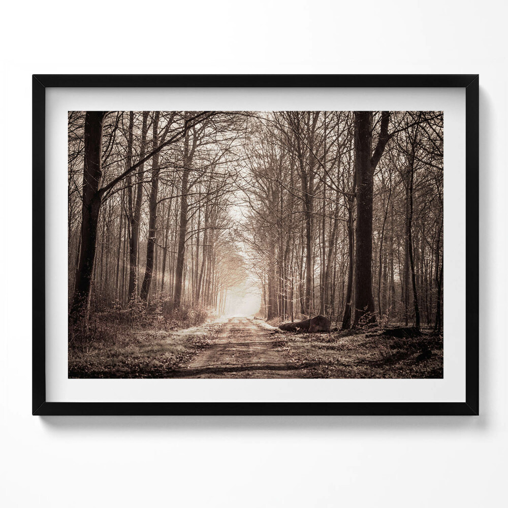 Tablou living cu rama Cale de pădure în tonuri sepia