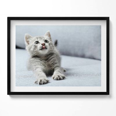 Tablou living cu rama Pisicuță adorabilă pe canapea