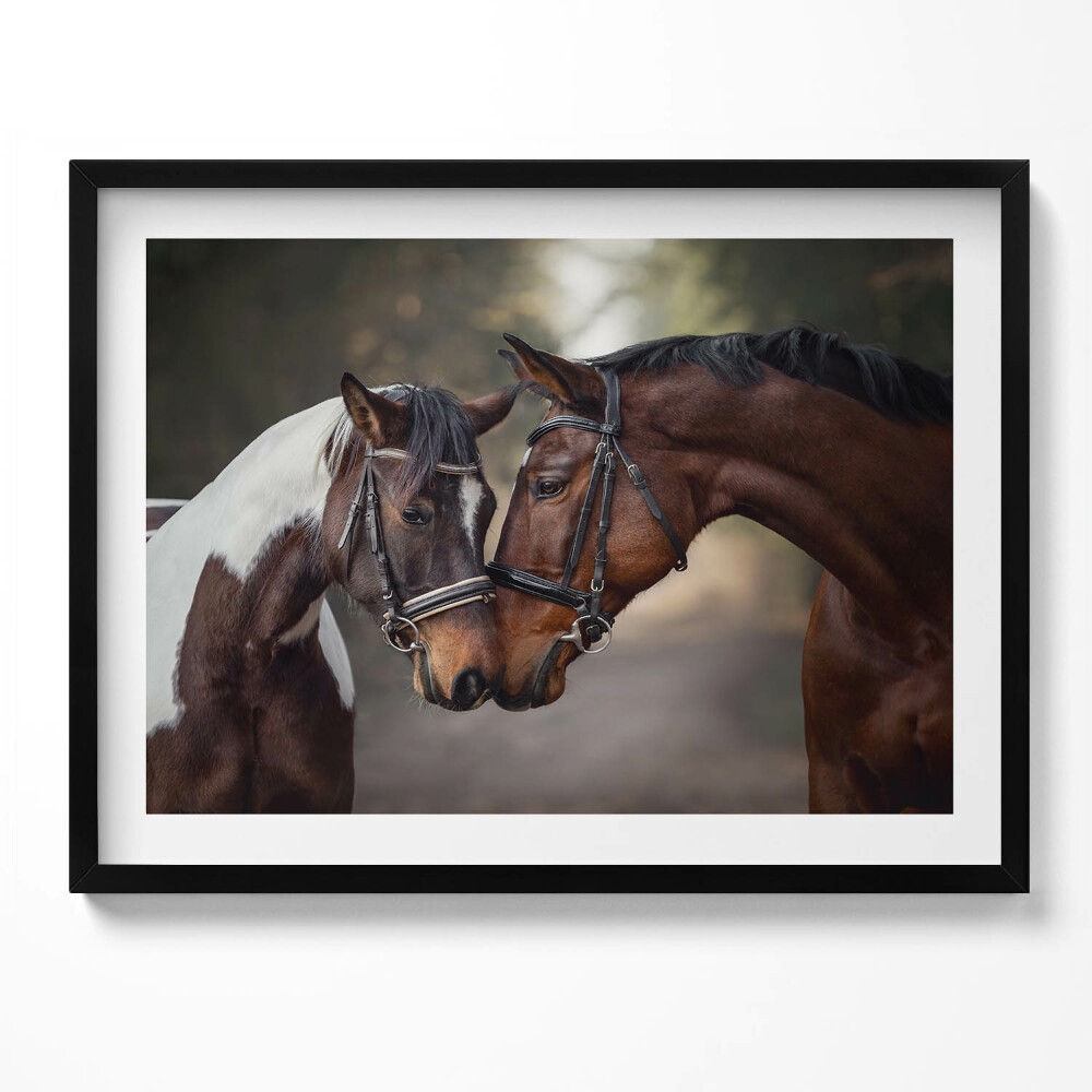 Tablou living cu rama Portret de cai în pădure