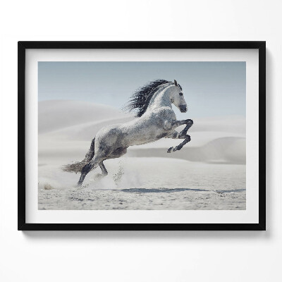 Tablou rama Cal alb galopant