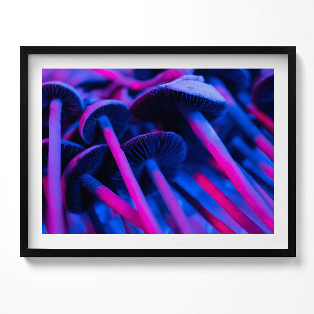 Tablou rama Ciuperci magice colorate