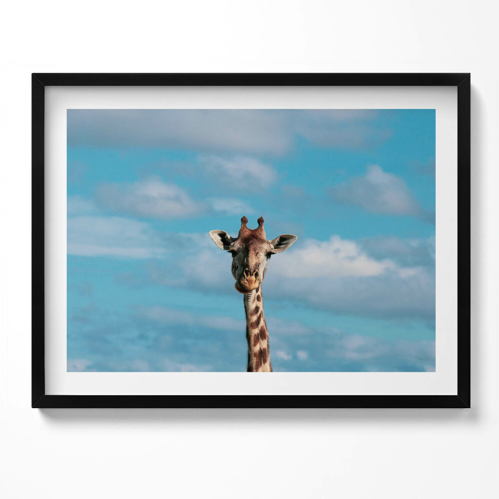 Tablou living cu rama Cap de girafă pe cer