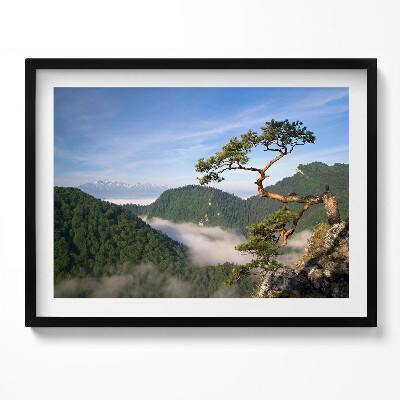 Tablou rama Vârful Sokolica din Munții Pieniny