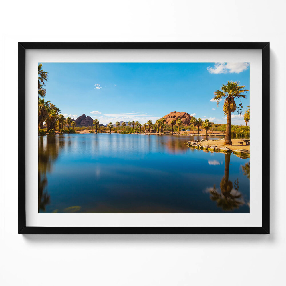 Tablou rama Peisajul parcului Papago