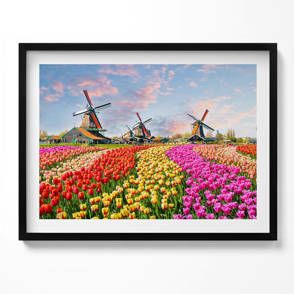 Tablou rama Peisaj cu lalele Olanda