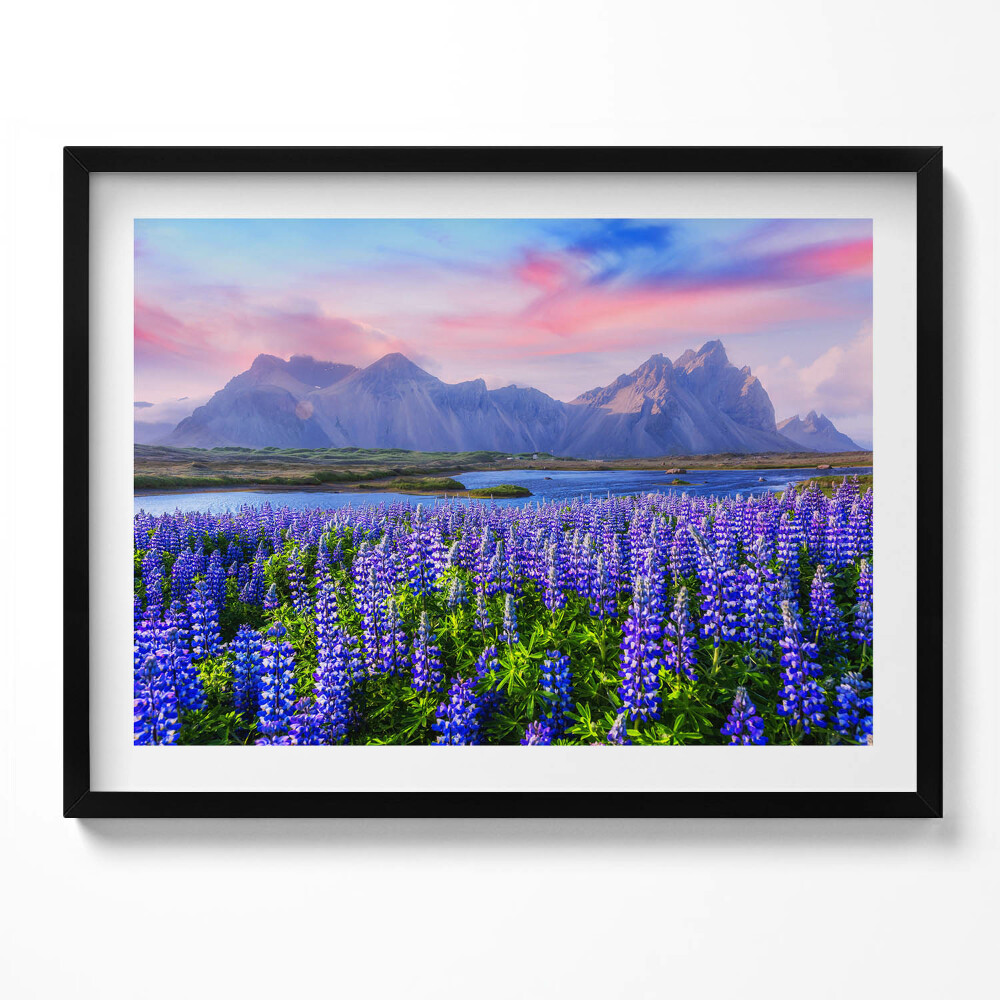 Tablou living cu rama Câmpuri de lavandă - Islanda