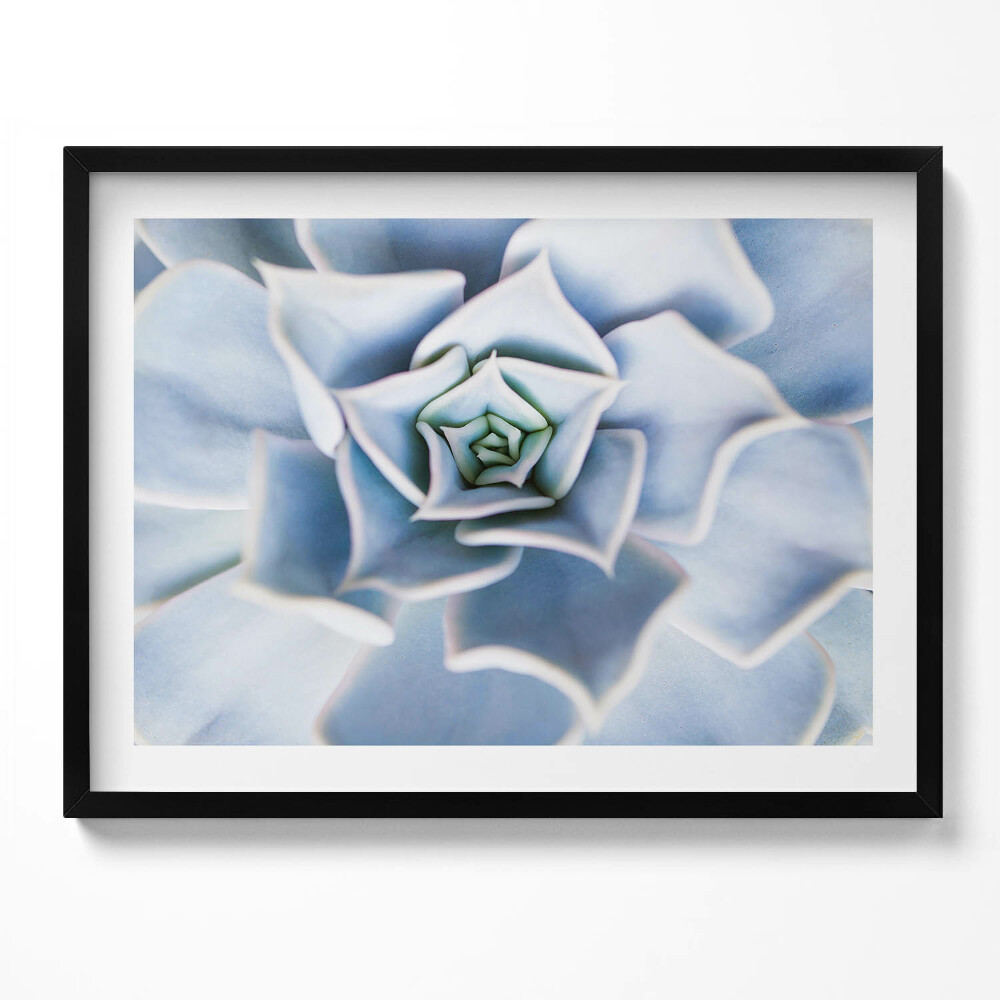 Tablou living cu rama Floare de plantă