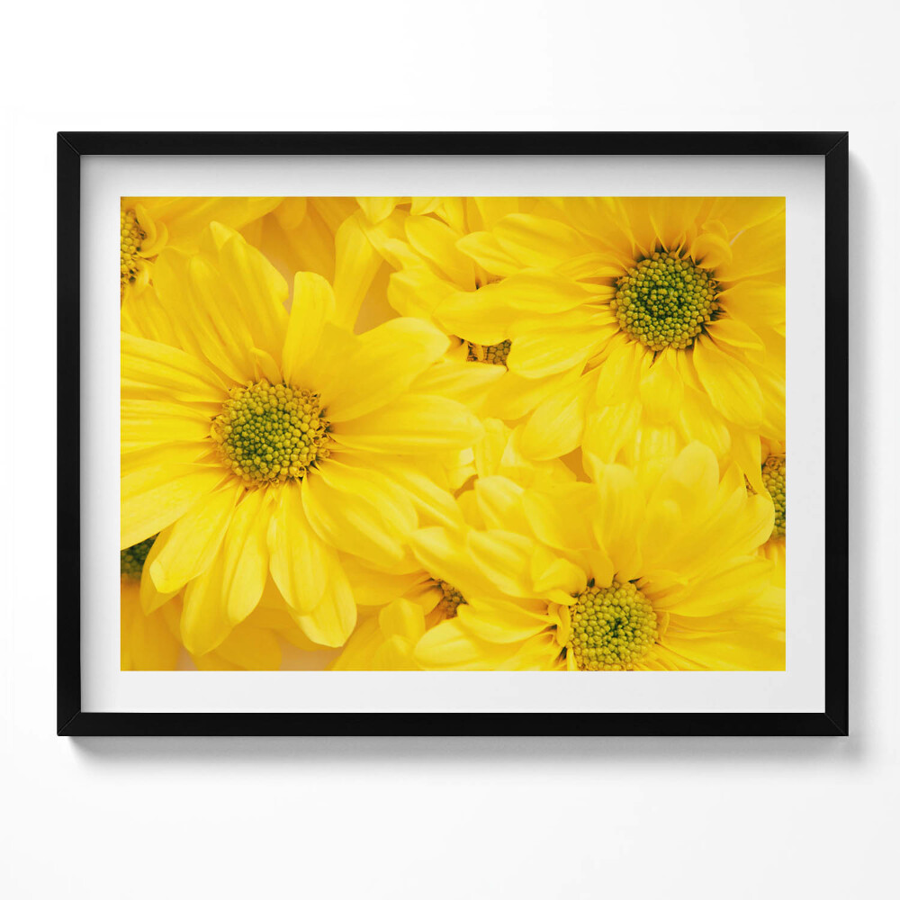 Tablou rama Petale de flori