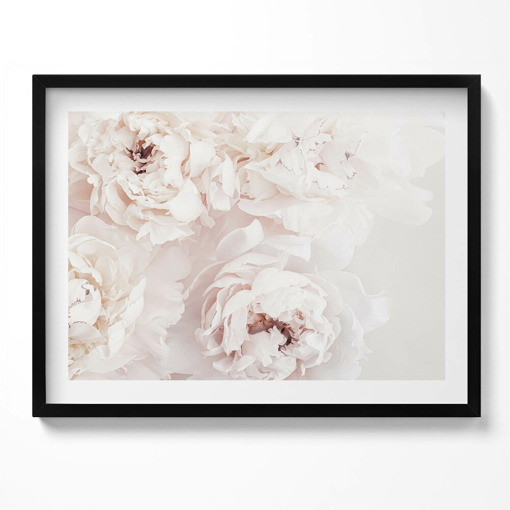 Tablou rama Bujori pastelați