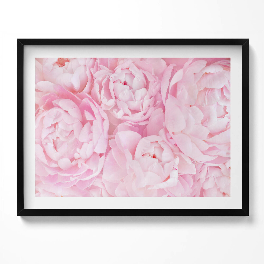 Tablou living cu rama Bujori delicați