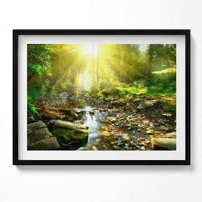 Tablou rama Pârâu de pădure în razele soarelui