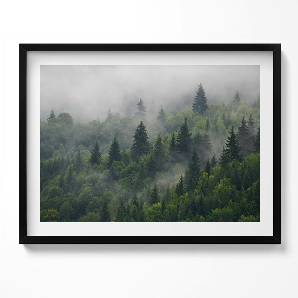 Tablou rama Peisaj de pădure în ceață