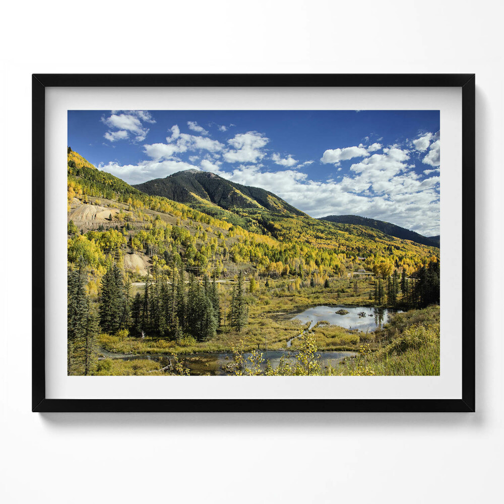 Tablou living cu rama Peisaj montan cu vegetație