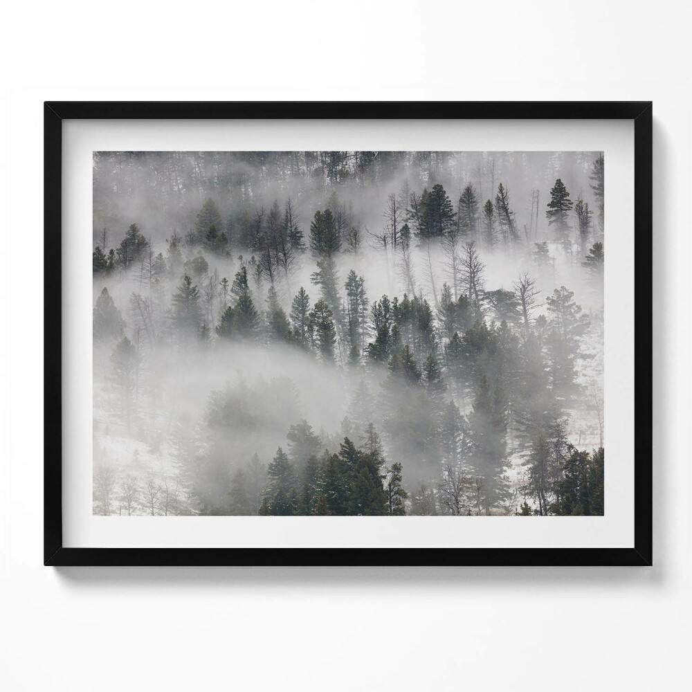 Tablou rama Peisaj de pădure cețos