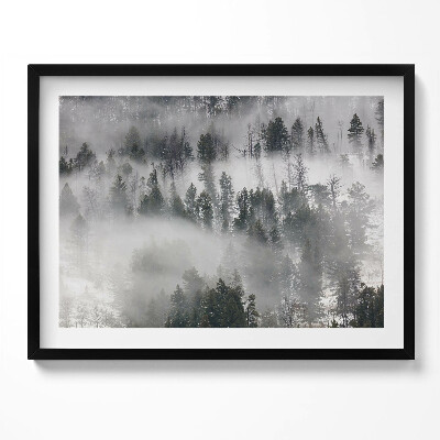 Tablou rama Peisaj de pădure cețos