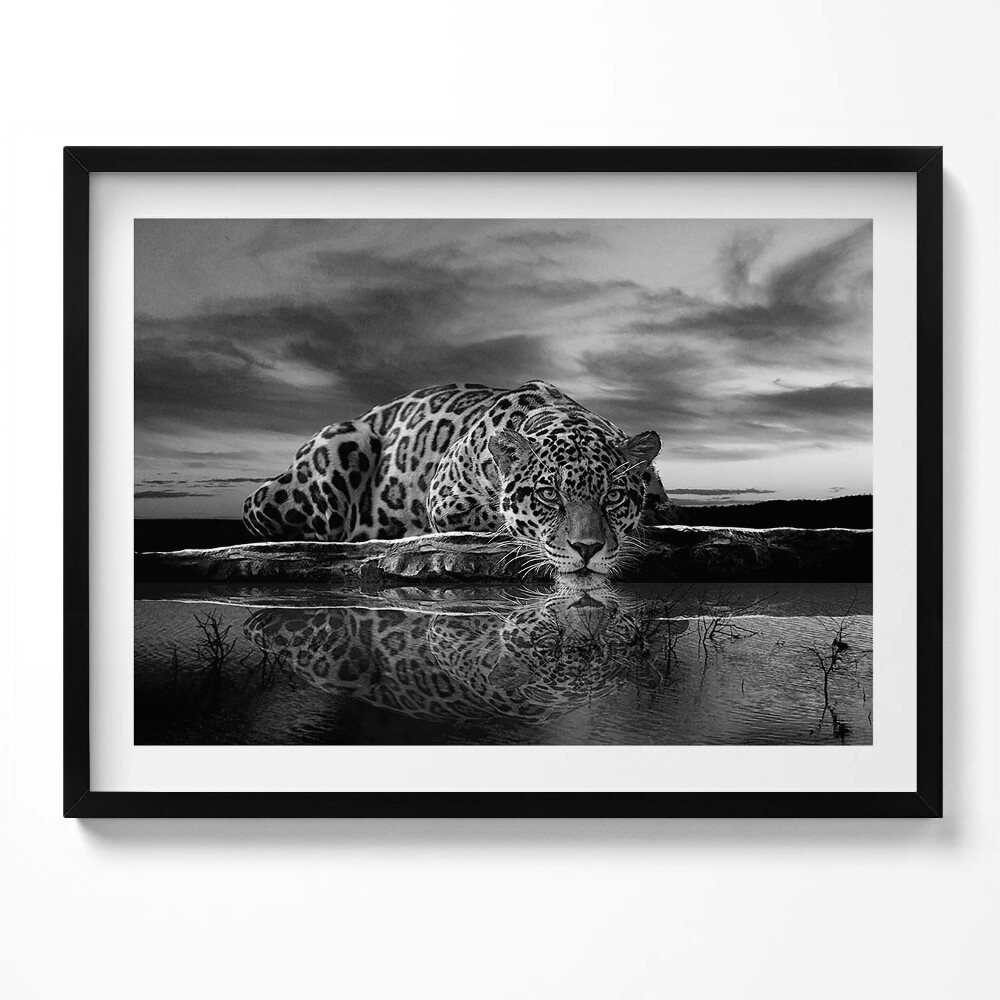 Tablou living cu rama Leopard alb-negru animal sălbatic