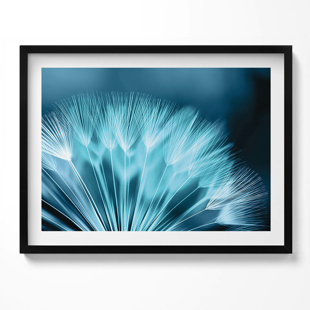 Tablou rama Prim-plan al unei păpădii