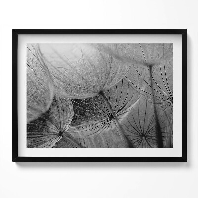 Tablou living cu rama Prim-plan alb-negru al unei păpădii