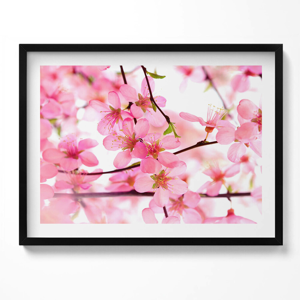 Tablou living cu rama Flori roz de primăvară pe ramuri
