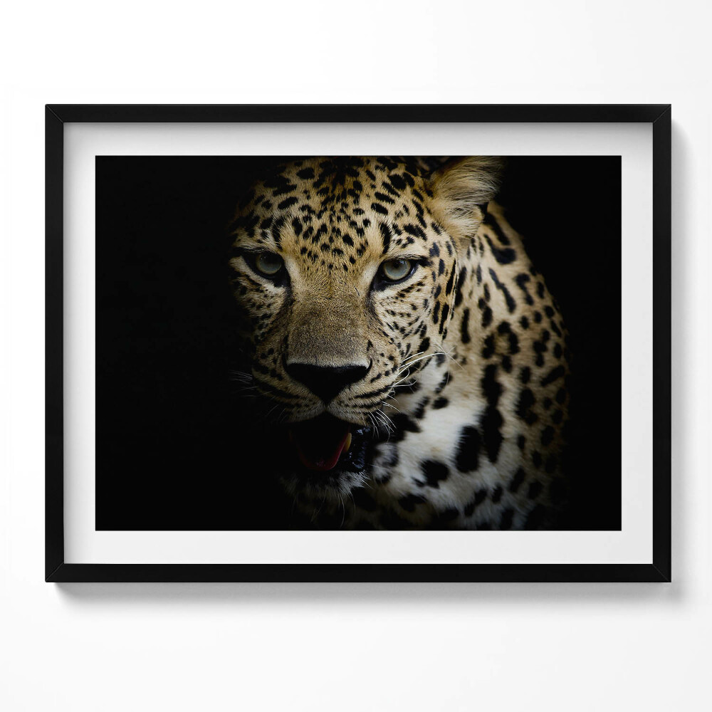 Tablou living cu rama Tigru sălbatic în negru