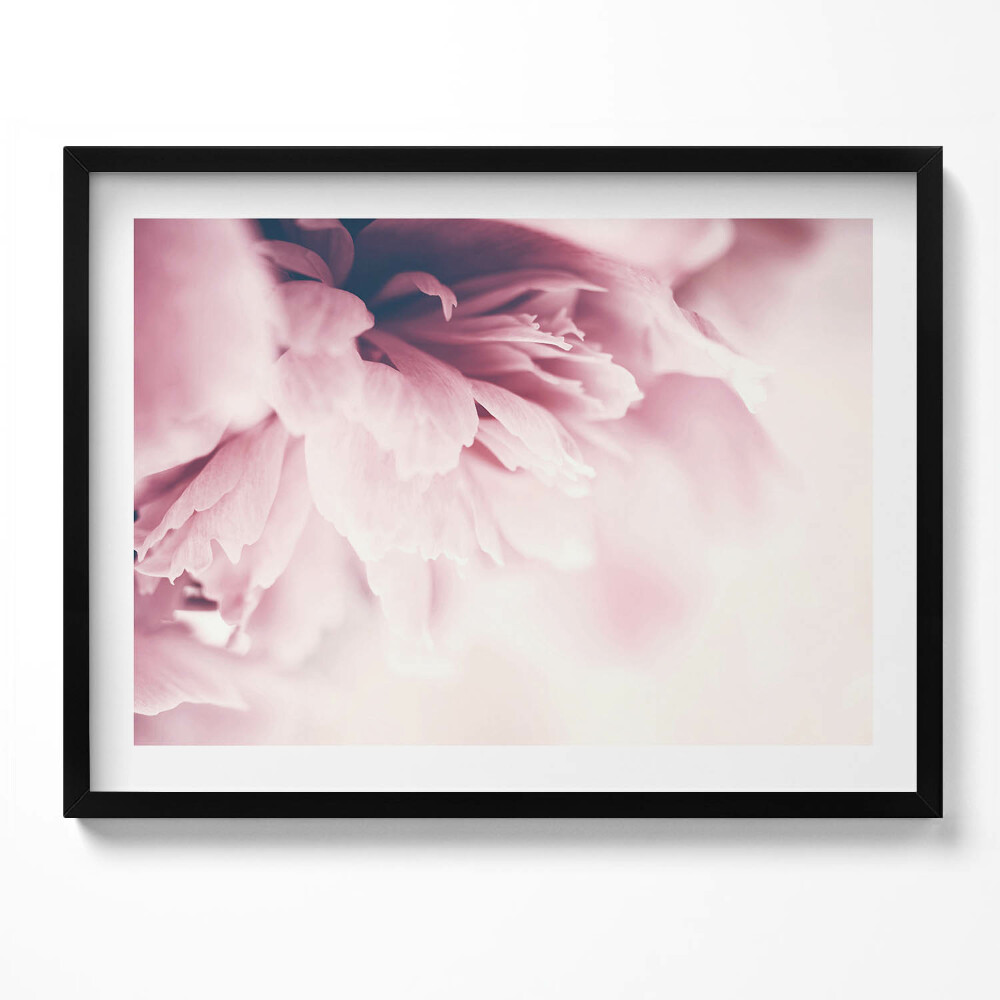 Tablou rama Prim-plan al petalelor de bujor