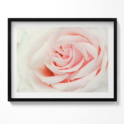 Tablou living cu rama Prim-plan al petalelor de trandafir