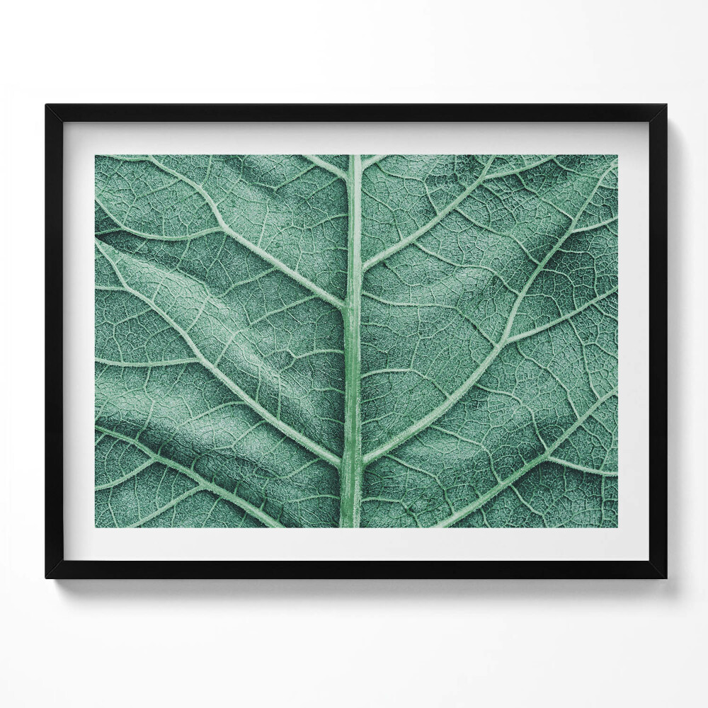 Tablou living cu rama Prim-plan al nervurilor frunzelor