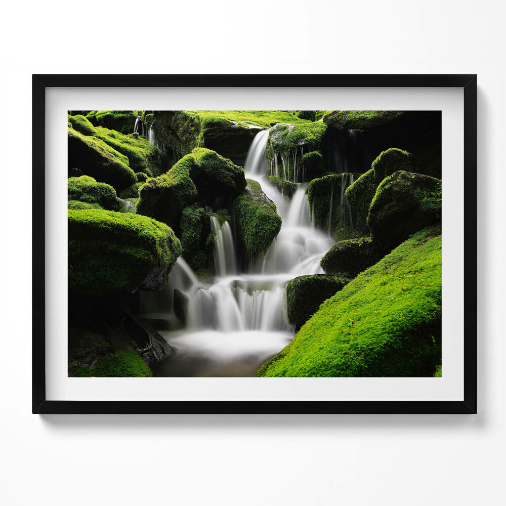 Tablou rama Cascadă sălbatică în junglă