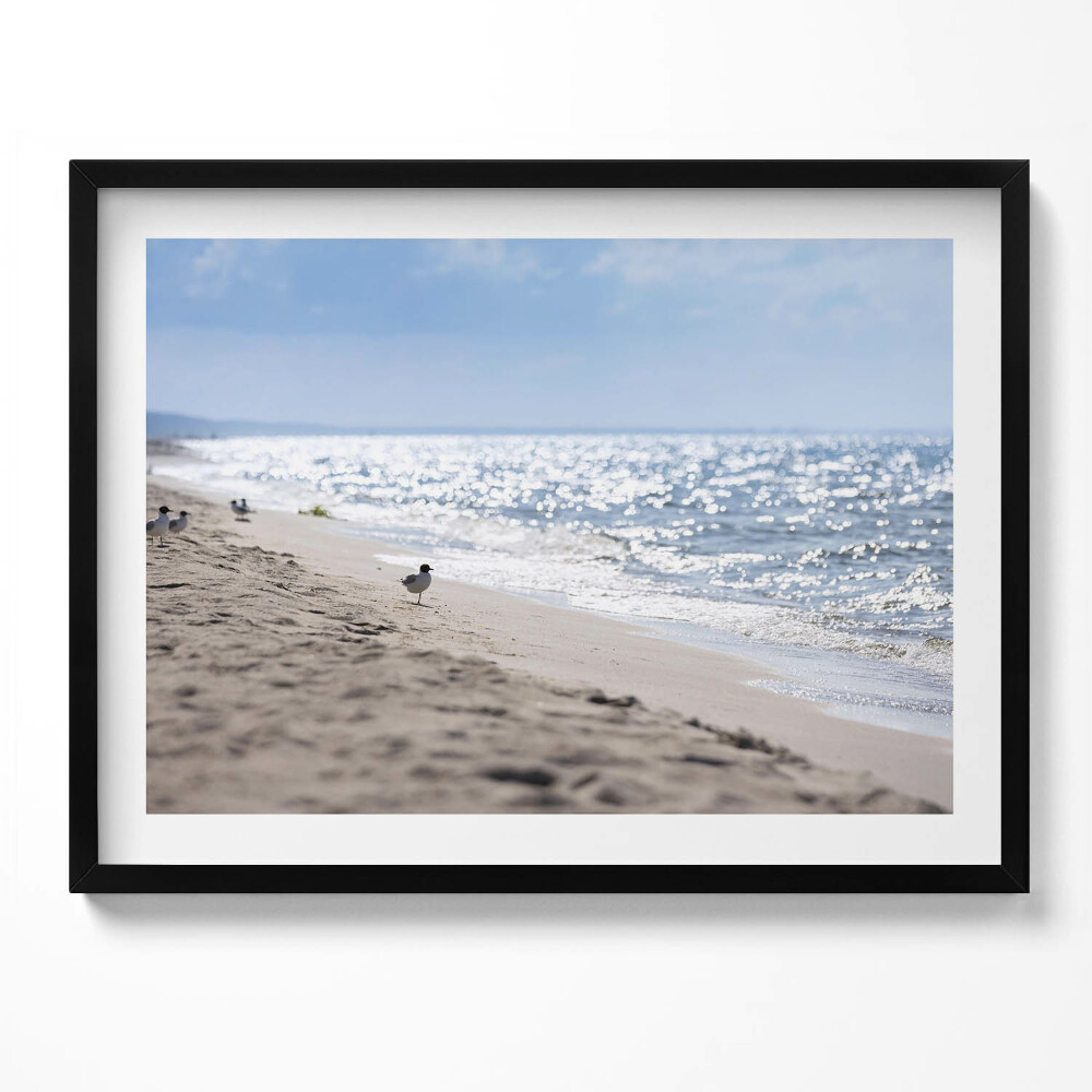 Tablou living cu rama Valurile mării și o pasăre pe plajă