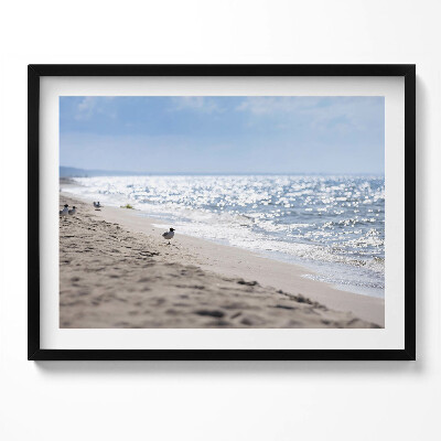 Tablou living cu rama Valurile mării și o pasăre pe plajă