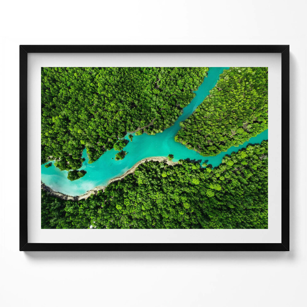 Tablou living cu rama Vedere aeriană a unui râu în pădurile tropicale