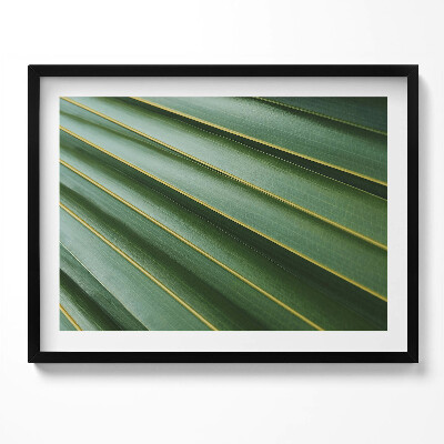 Tablou rama Textură de plantă verde