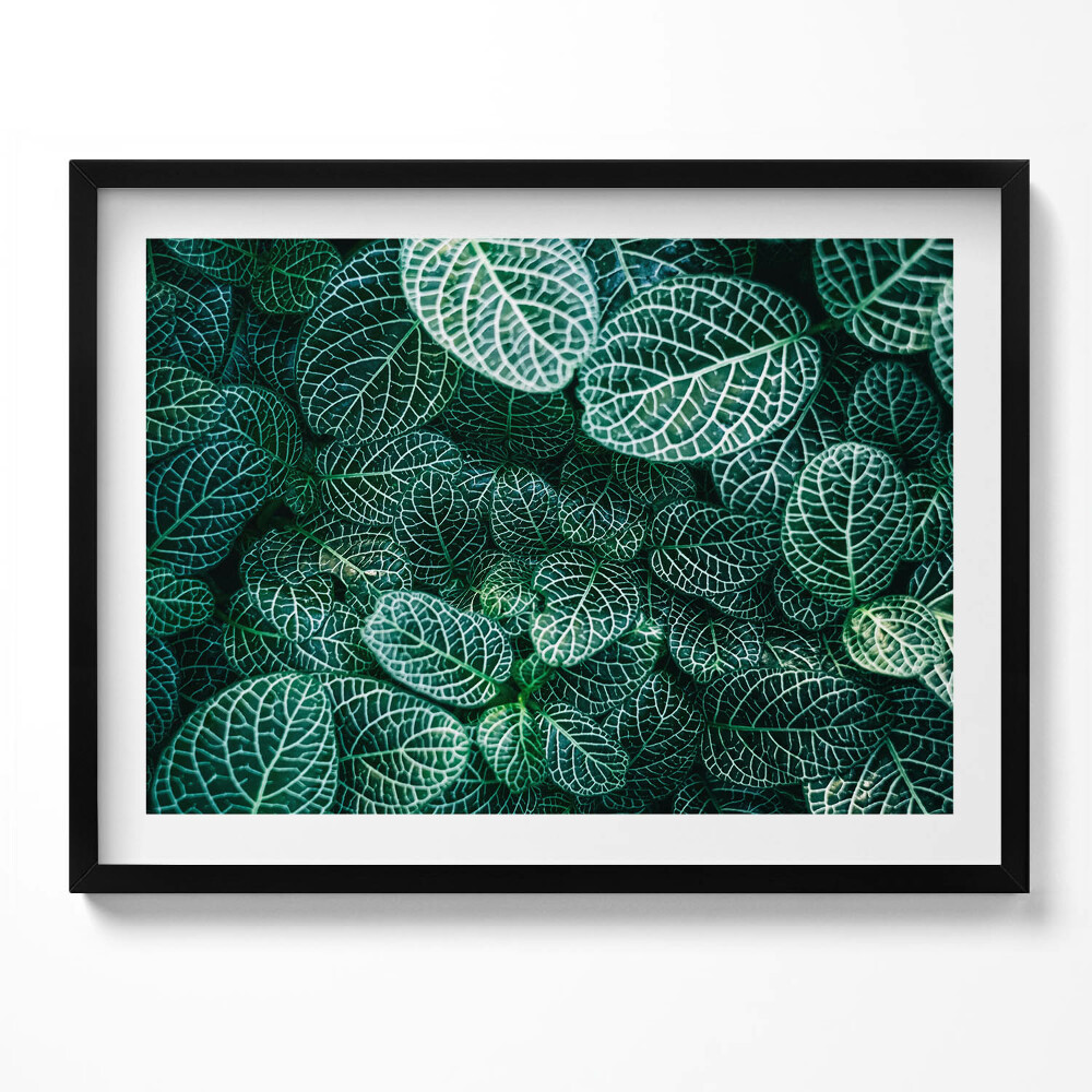 Tablou living cu rama Frunze verzi sălbatice