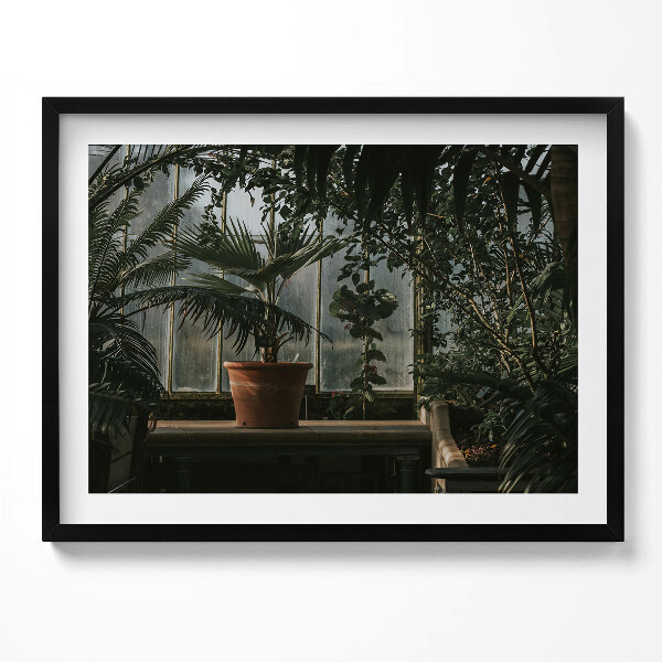 Tablou rama Plante vintage pe fereastră
