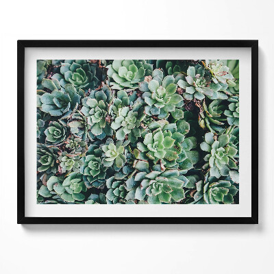 Tablou living cu rama Plante suculente verzi