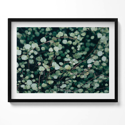 Tablou rama Frunzele mici ale plantei