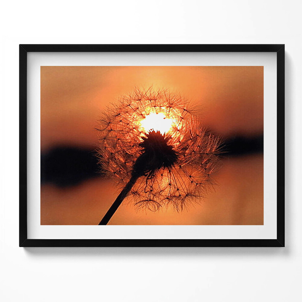 Tablou living cu rama Păpădie la apus