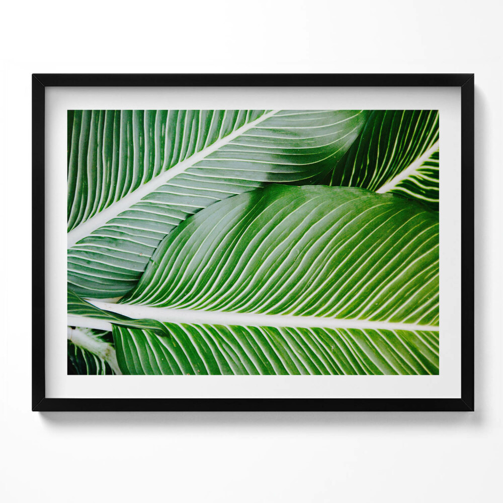 Tablou rama Frunze verzi exotice