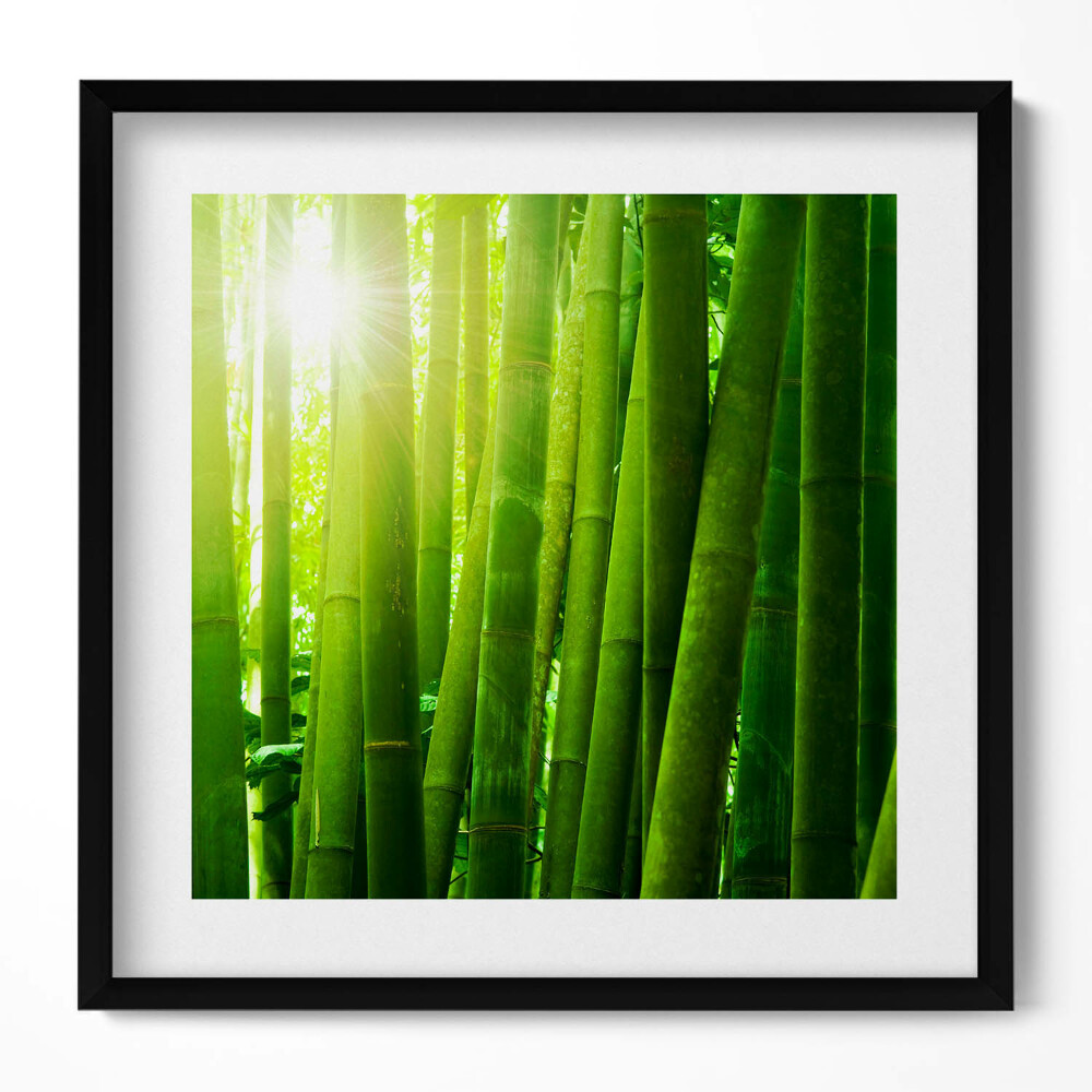 Tablou living cu rama unic Tulpini verzi de bambus