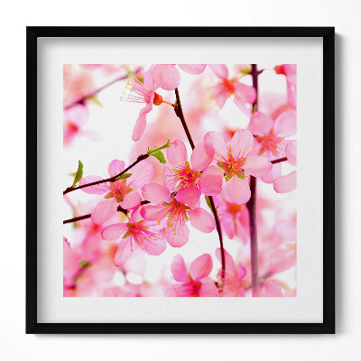 Tablou rama unic Flori roz de primăvară pe ramuri