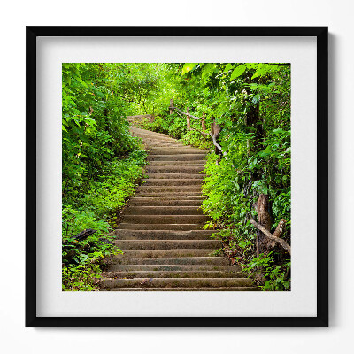 Tablou living cu rama unic Scări în mijlocul pădurii