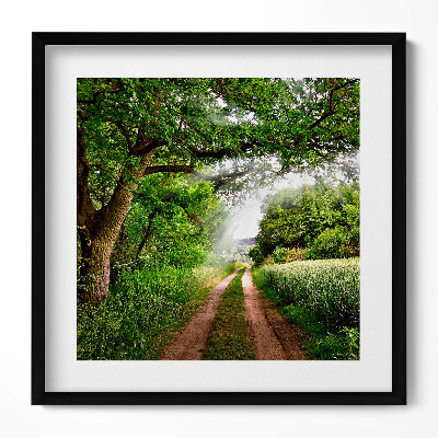 Tablou living cu rama unic Cale, copaci și raze de soare