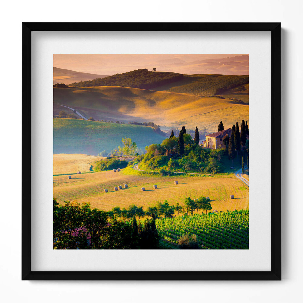 Tablou living cu rama unic Peisaj de vară primitor al câmpurilor