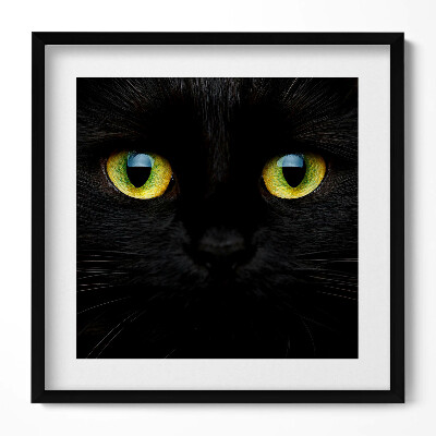 Tablou rama unic Ochi de pisică animale