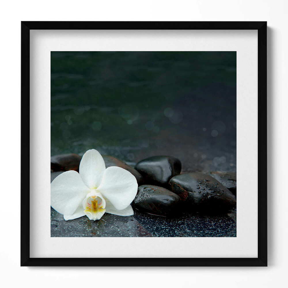 Tablou living cu rama unic Pietre zen cu flori albe