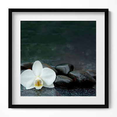 Tablou living cu rama unic Pietre zen cu flori albe