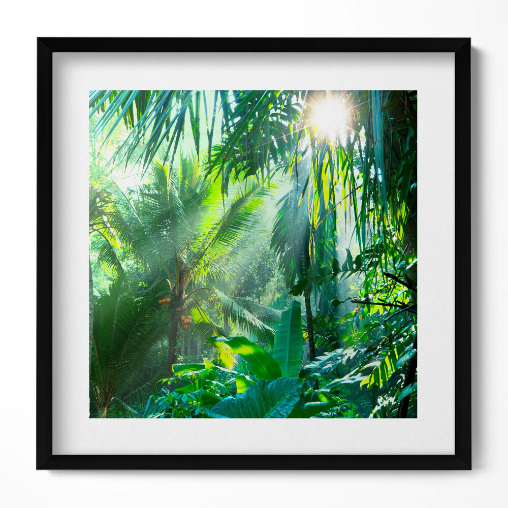 Tablou living cu rama unic O junglă verde plină de plante
